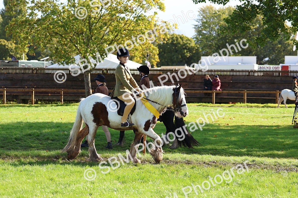 SBM_37409 - Fun Showing Supreme Championship