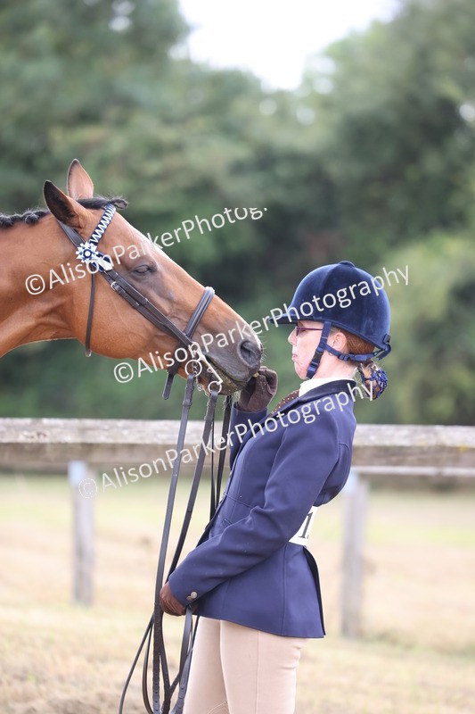 20260831-1937 - Class 5 - Retraining of Racehorses