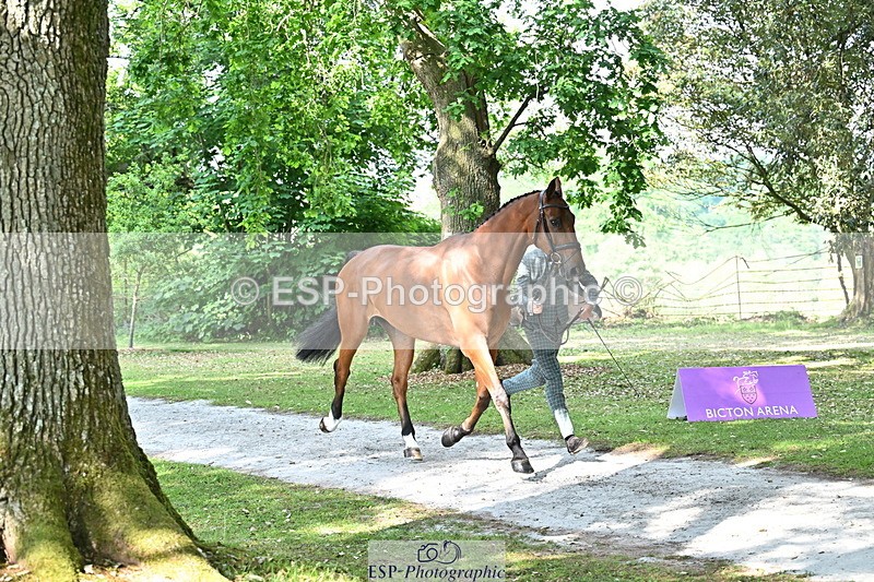 250521A-163949-01264 - C-251-Freddie.Carden-MBF.VITAL.FINESSE