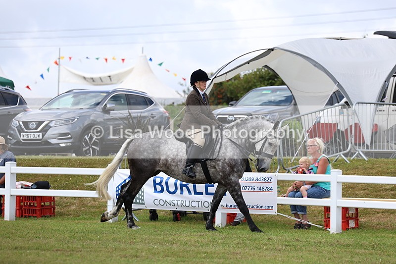 3E7A0532 - Rising Star Ridden Championship