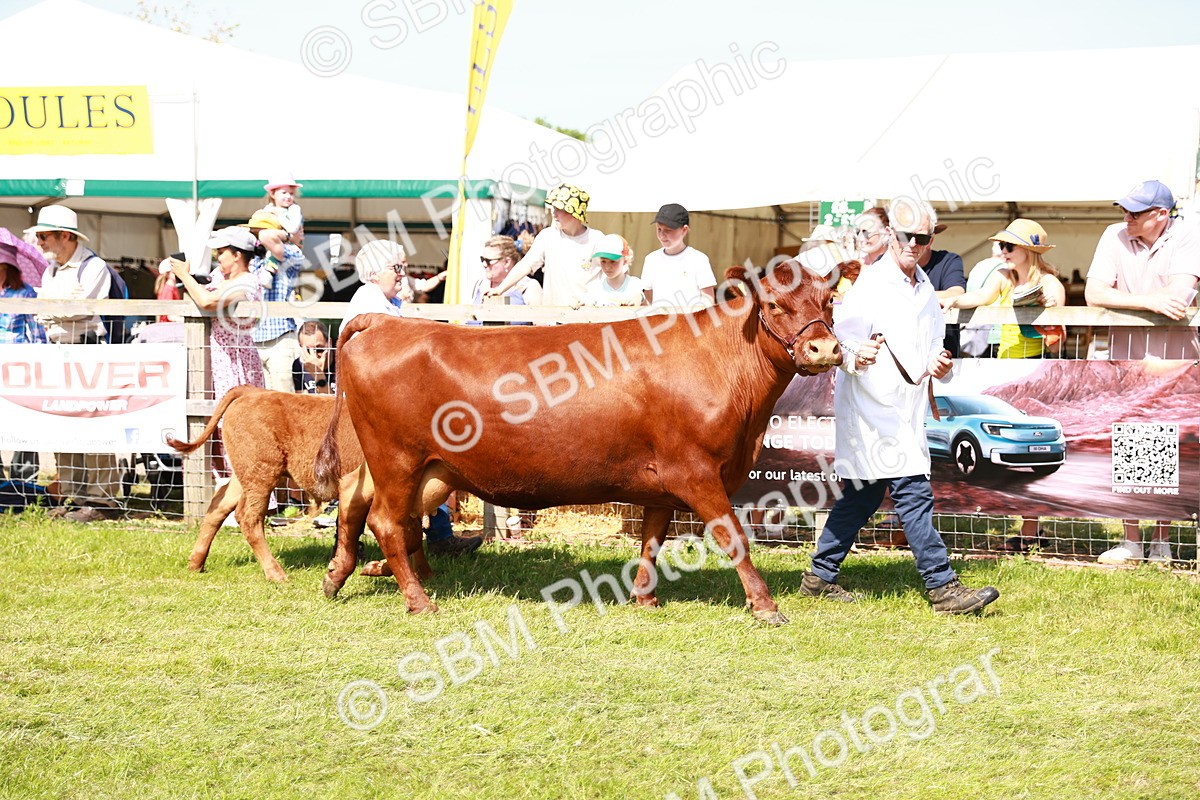SBM_08369 - Grand Parade