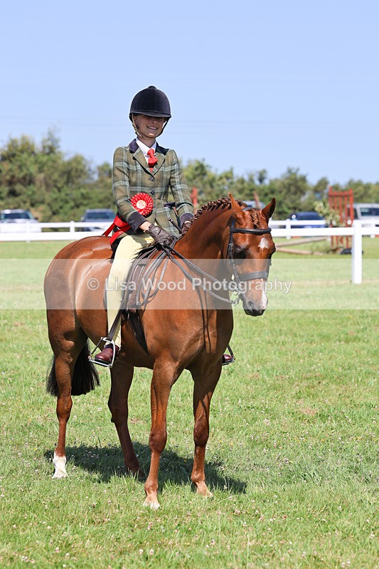IMG_2066 - Class 34: Show Hunter Pony 153cm and under
