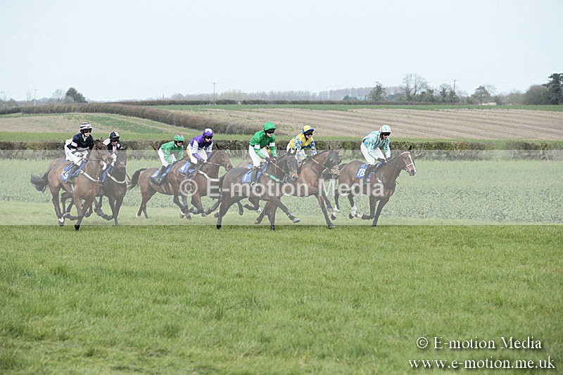 PtP 230319 145 - VWH Hunt Siddington Point-to-Point Racing 23/03/19