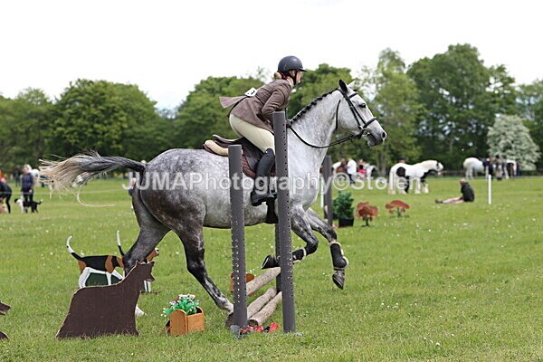 IMG_2749 - Working Hunter