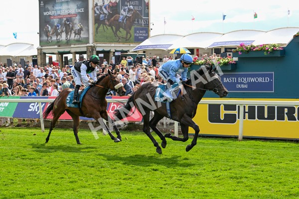 140625-Race 5-Egoli-3096 - Race 5 4.10pm Reg Griffin Appreciation EBFstallions.com Maiden Stakes