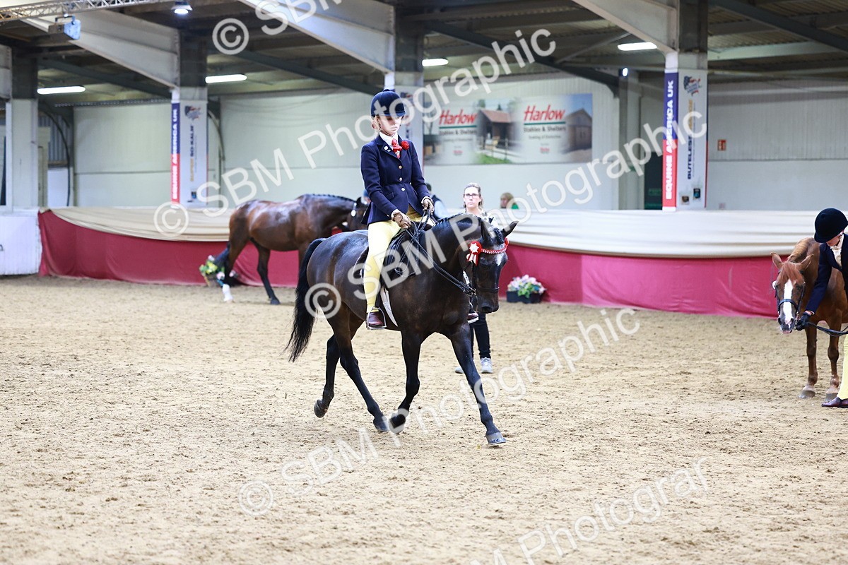 SBM_23347 - Class 904 - Supreme Final - Ridden Diamond