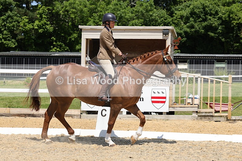 1X9A1822 - Class 12: Ridden Riding Horse/Hack
