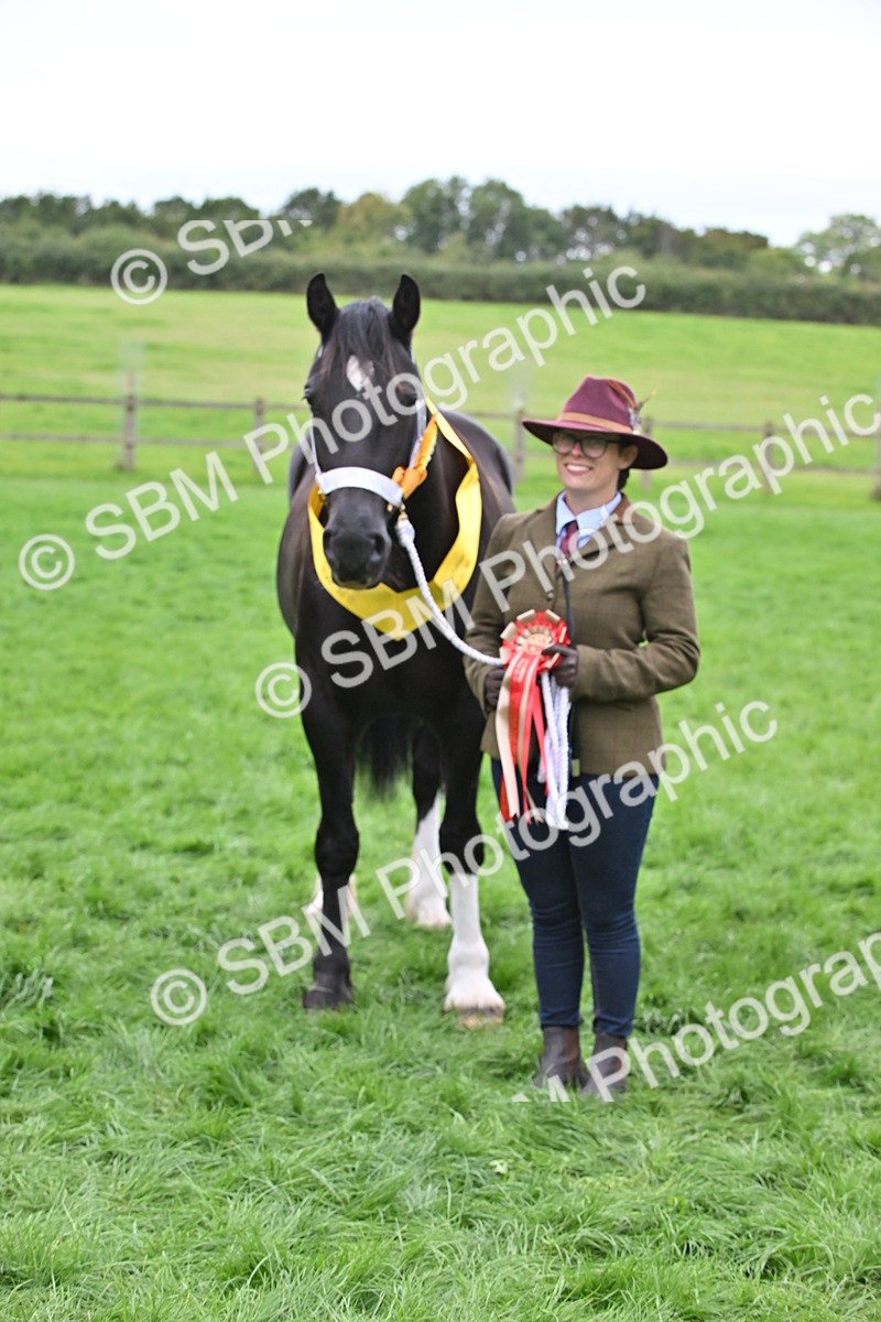 SBM_65033 - In Hand Pony & Younstock Supreme Championship