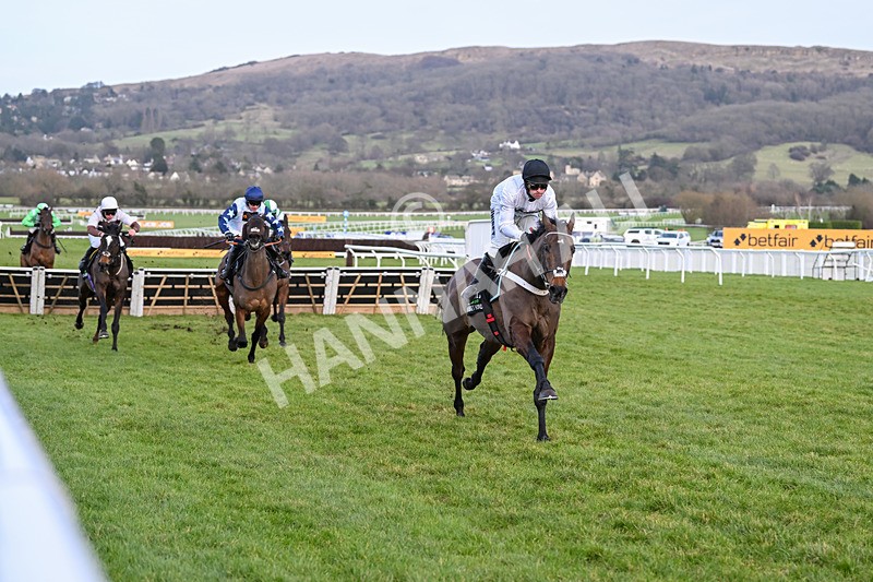 250125-Race 5-Constitution Hill-4723 - Race 5