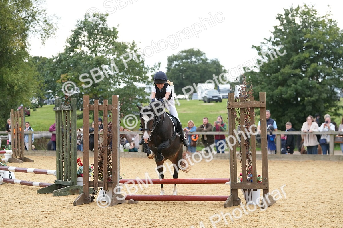 SBM_74602 - J4 - Mini Tour Junior Pony 45cm Championship