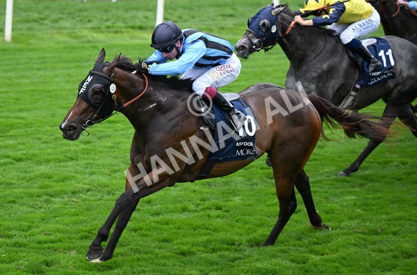 220825-151 Asfoora - Race 4 3.35pm Coolmore Wootton Bassett Nunthorpe Stakes