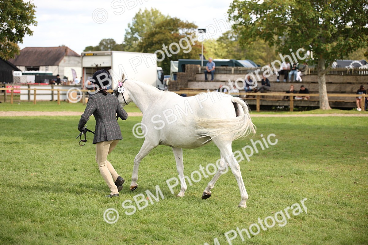 SBM_44501 - S24 - Young Veteran in hand