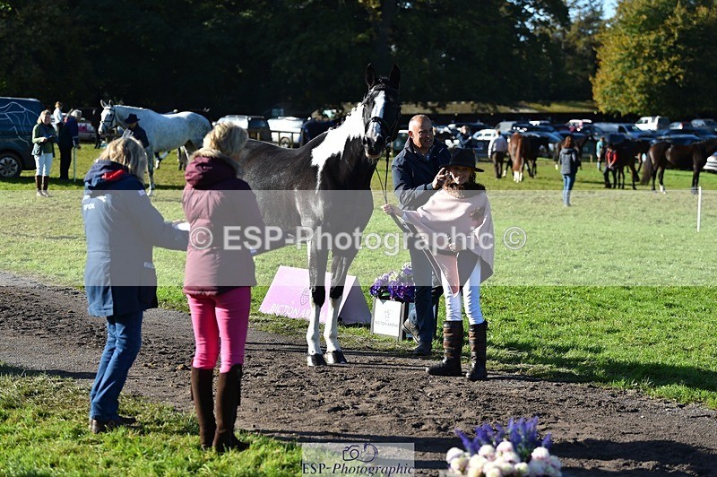 231022-104104-22662 - 438-KILCORBAN.MY.FAIR.LADY-Natasha.Crapper-TrotUp+SJ