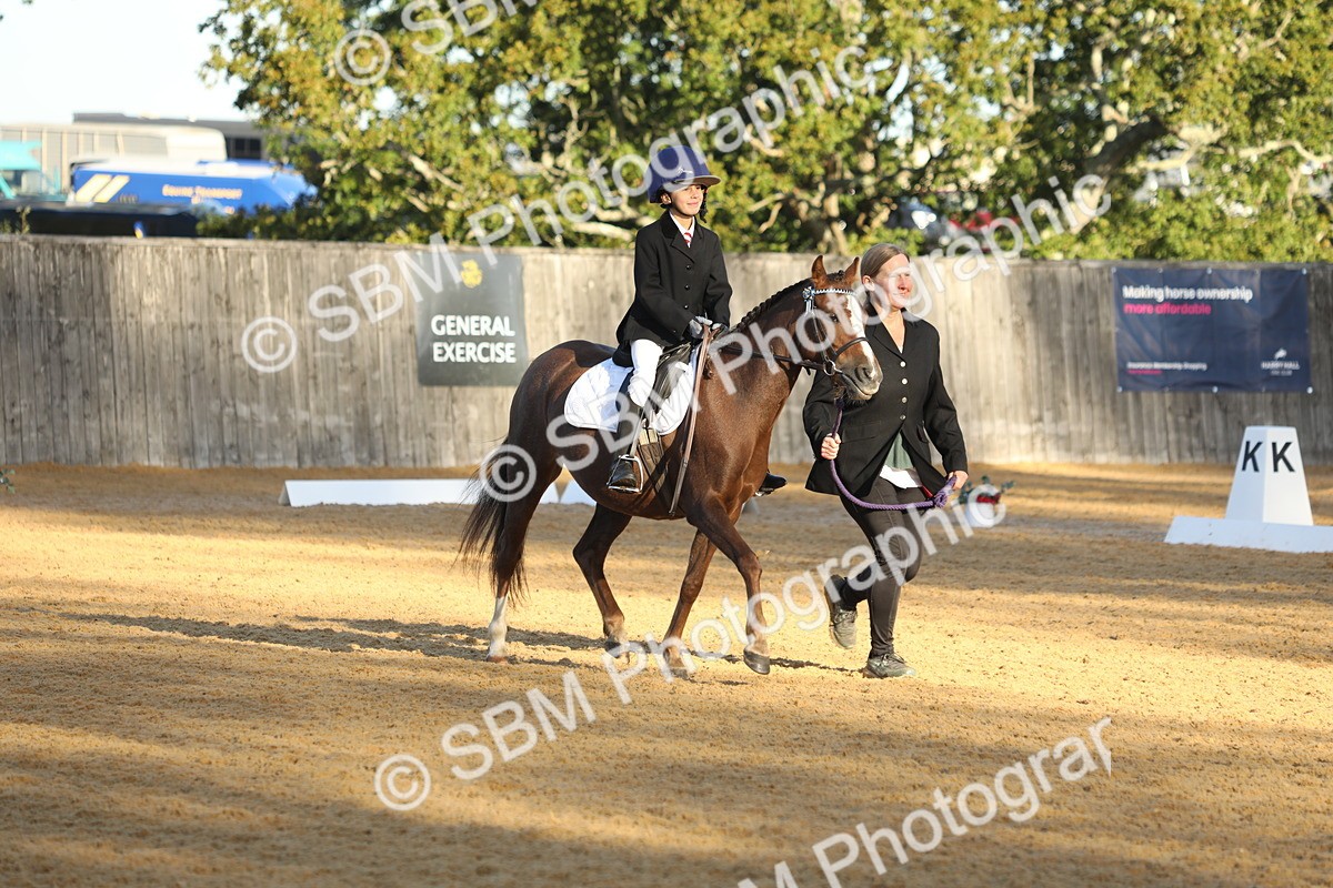 SBM_33634 - D26 - Starers - Lead Rein