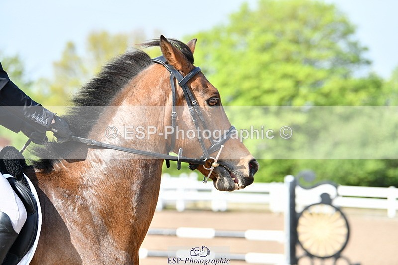 240511A-092350-11256 - Cls 28 95cm National Am Quali