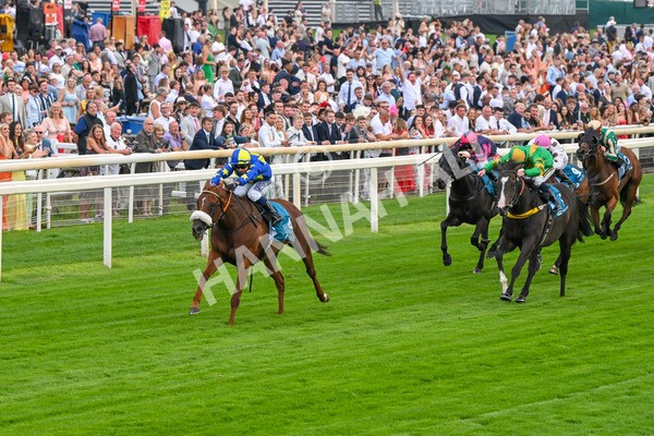 250725-Race 2-Rock N Roll Pinkie-5464 - Race 2 6.03pm Elevator Company Handicap