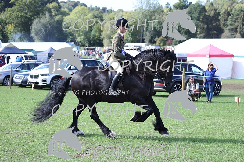 APP_3734 - Class 12 M&M ridden