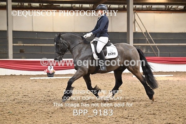 BPP_9183 - ELEM 4