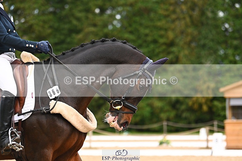 231020-164617-12366 - 366-J-Holly.Horton-DR