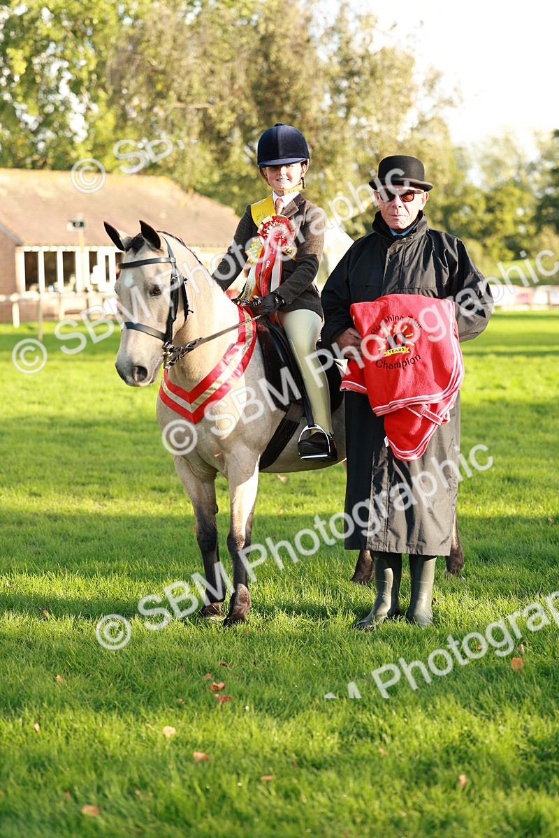 SBM_29337 - Novice & newcomer Supreme Championship
