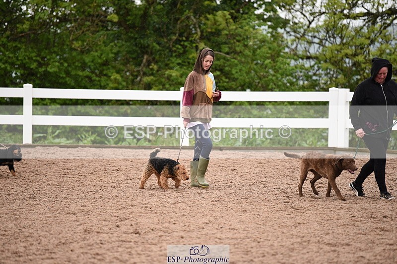 240518A-133728-01324 - Cls 9 Best in Show