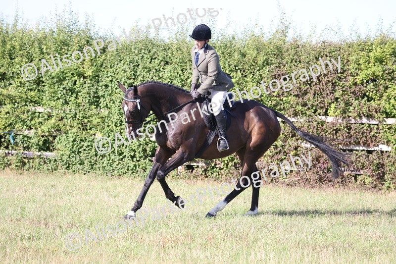 20260906-0414 - Class 14 - Ex Racehorse