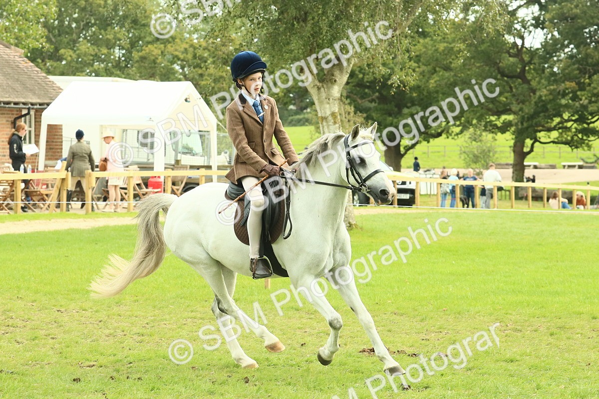 SBM_69918 - S59 - Mountain & Moorland Ridden Small Breeds