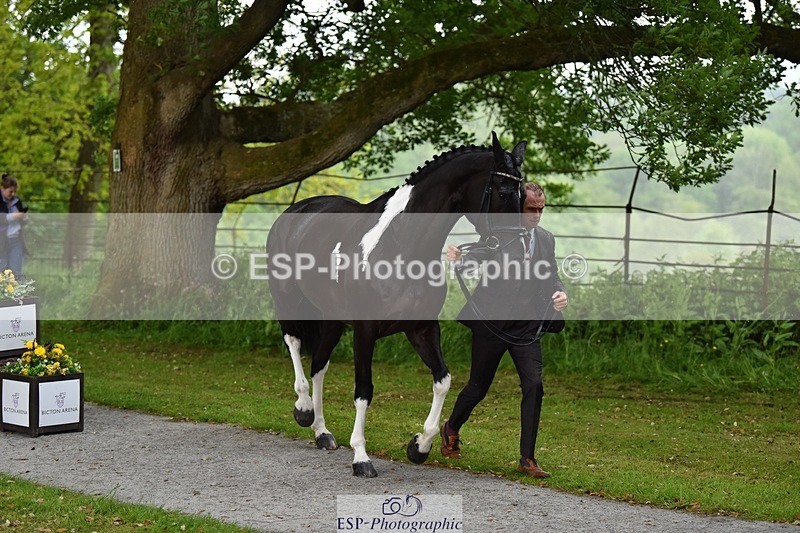 240522-151408-00189 - 377-HONEYBROOK_EXTRA_SPECIAL-Tom_Rowland