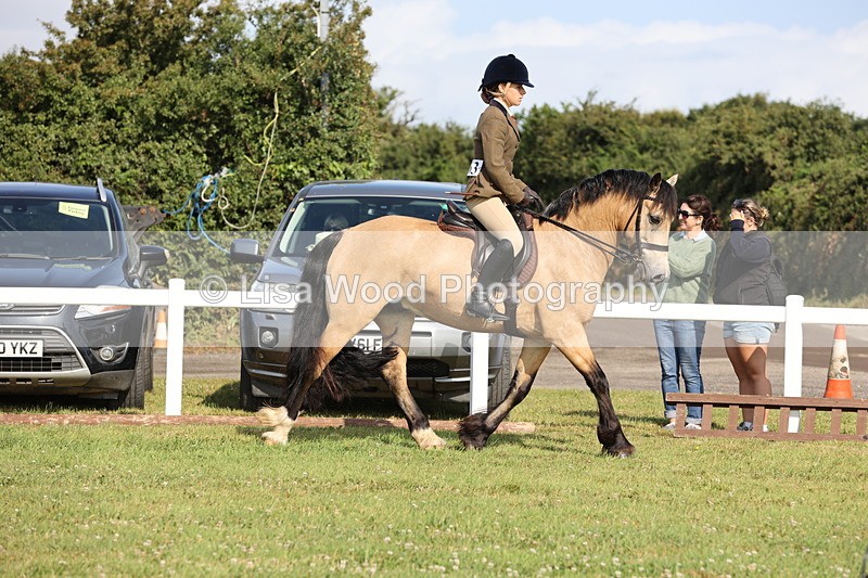 JPP_0628 - Class 16: Cornish Combination Young Rider