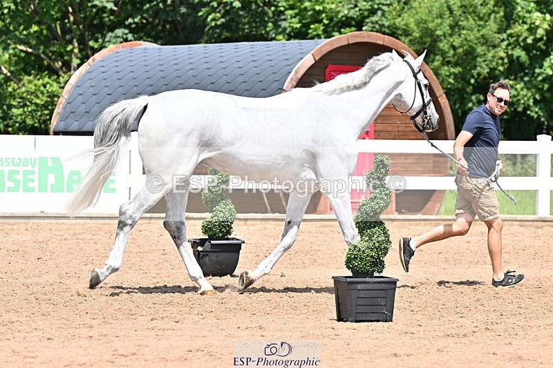 240718A-105318-01812 - Trot Up 1pm to 2pm