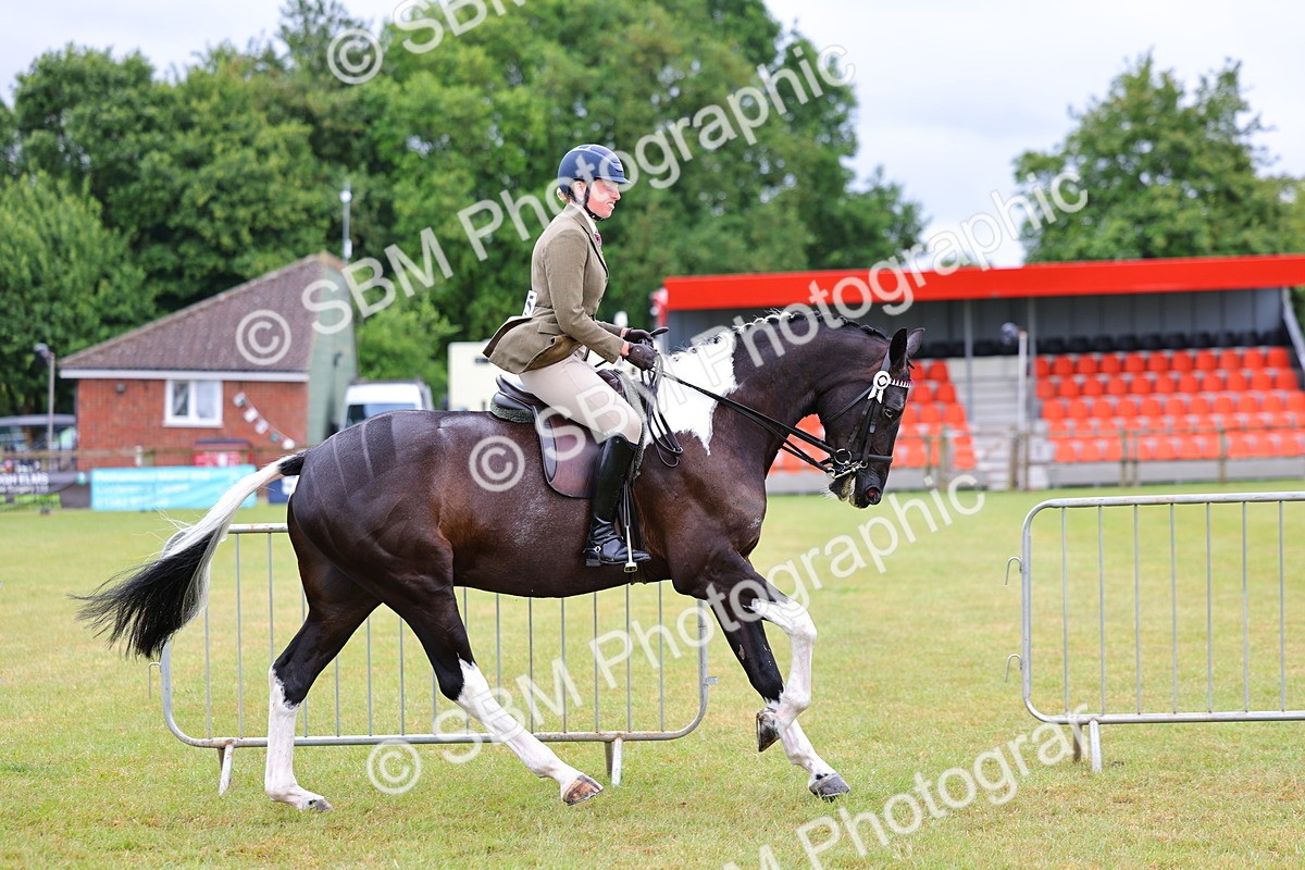 SBM_02500 - Class 9-11 Side Saddle including LIHS Rising Star Ladies Show Horse