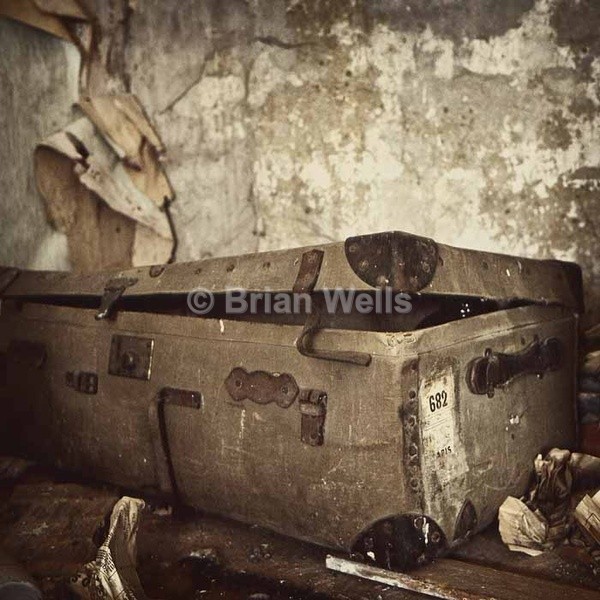 'Well Travelled Trunk' - Abode's