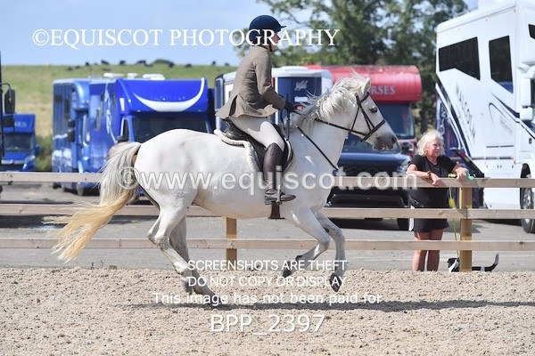 BPP_2397 - DERBY CLASS 7 - 80CM