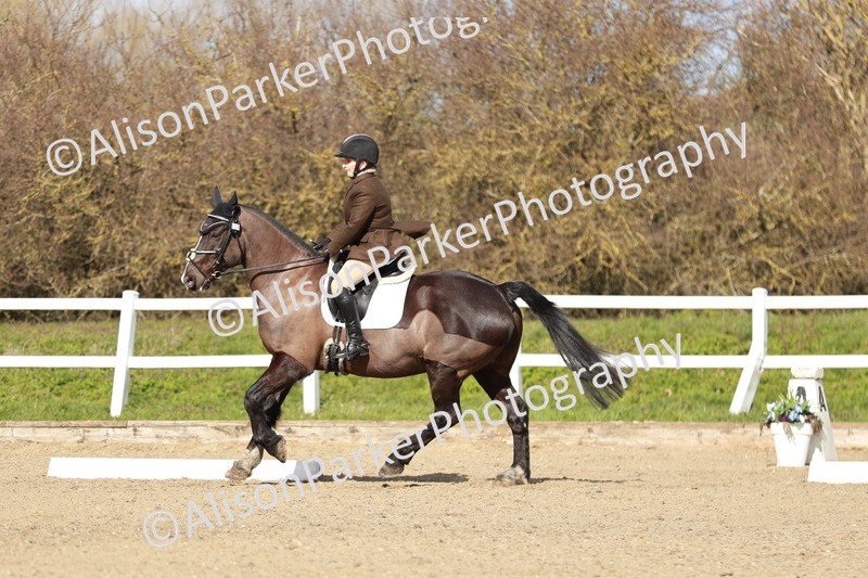 20260314-3039 - DR3 - Prelim 1