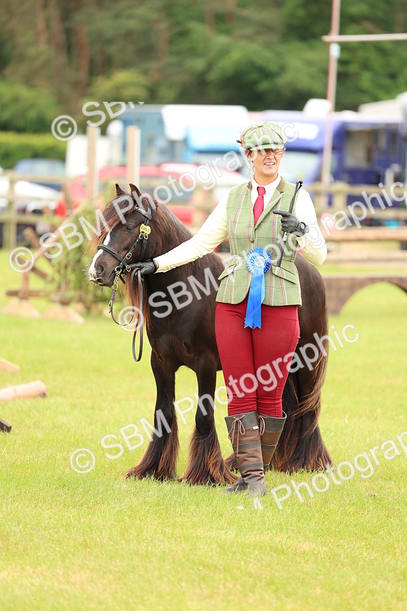 SBM_06340 - Class 39-41 TGCA In Hand and Ridden