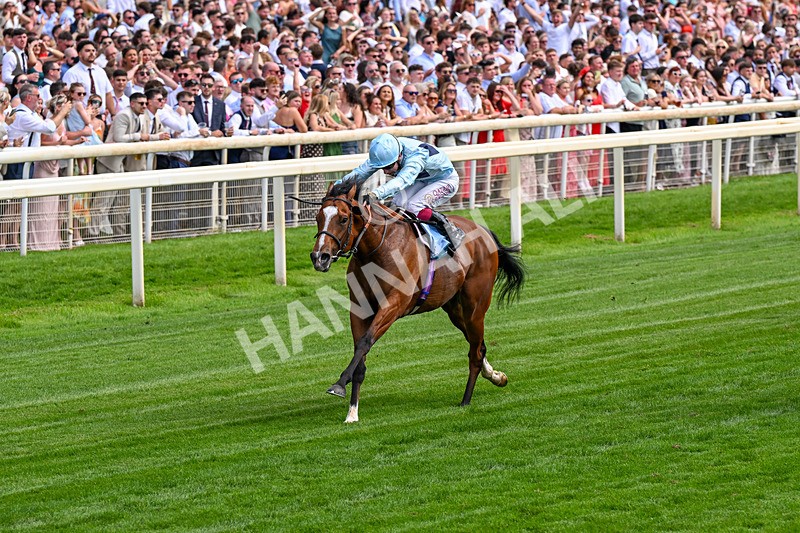 270626-Race 6-Hallo Spaceboy-0400 - Race 6 16.15pm Al Basti Equiworld Dubai Sprint Handicap