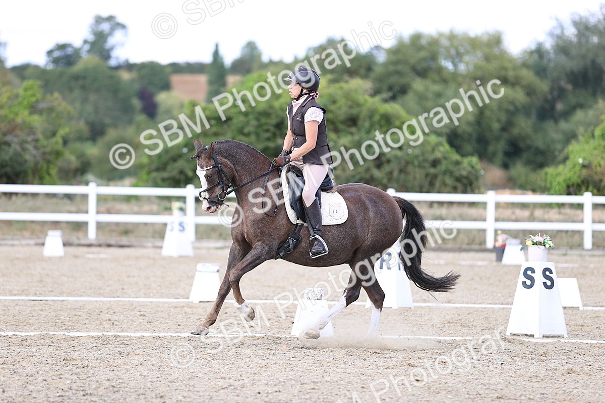 SBM_015957 - Class 5 - E5 Bronze  16.18.17.22