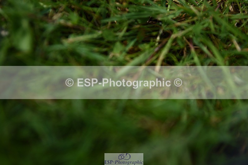 240605-112128-00758 - Cls 2 Prelim 19 SQ