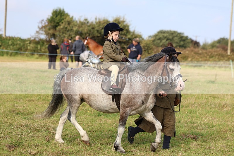 3E7A3656 - Class 2: Lead rein