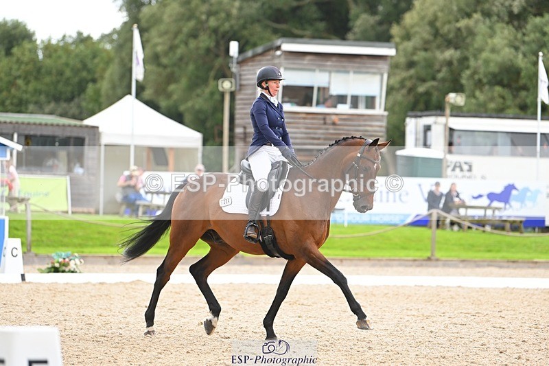 230813-141254-07697 - Cls 13 Medium Bronze 13.15 to End