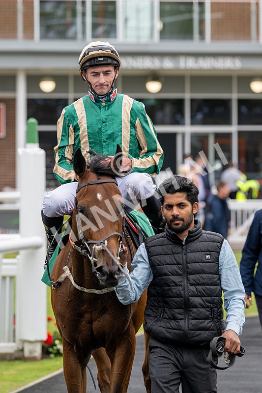 030724-Race 2-The Crafty Mole-0570 - Race 2