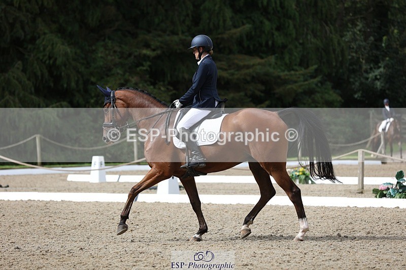 230812-104157-03316 - Cls 5 Novice Bronze Start to 10.55 break