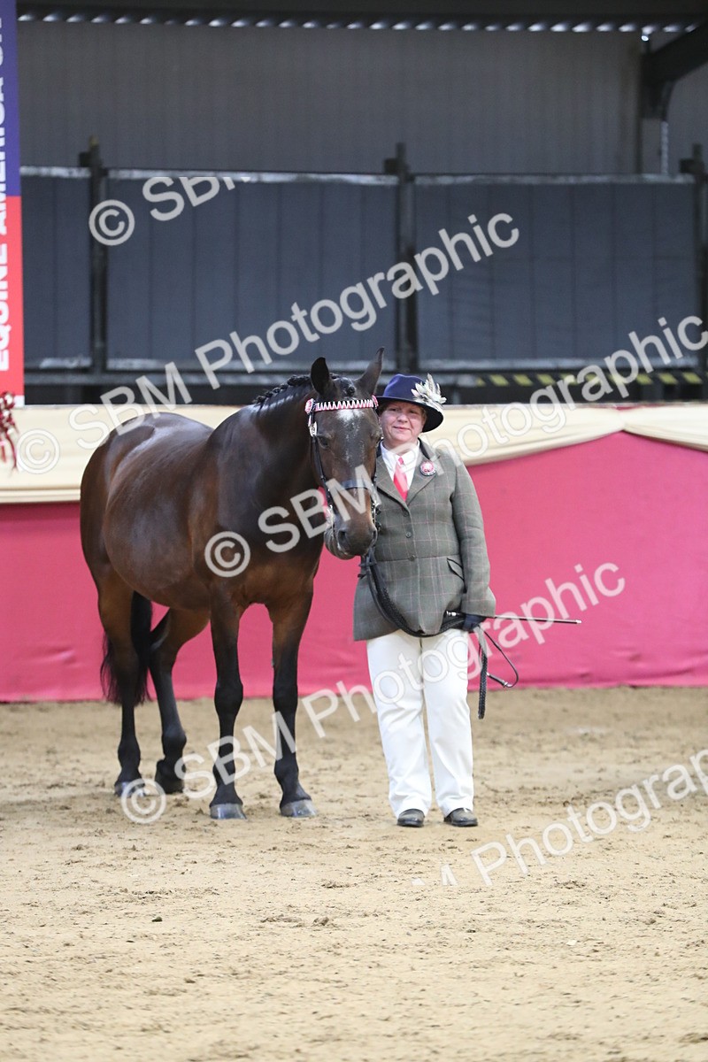 SBM_06444 - Class 9R Regional- IH Pre Vet
