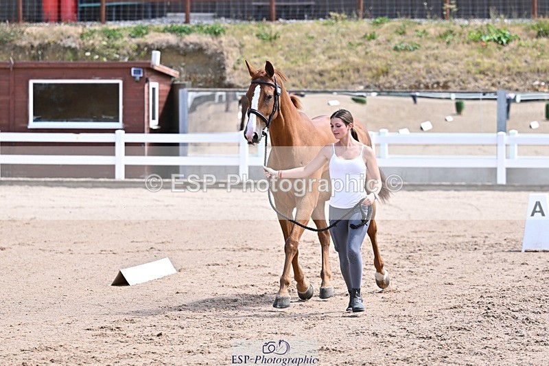 250716-124814-00169 - Trot Up 12.30 to 1.30