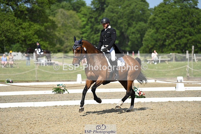 230525-102706-01711 - 312-J'ADORE_SALSA-Michael_Owen-WEDTrotUp+DR