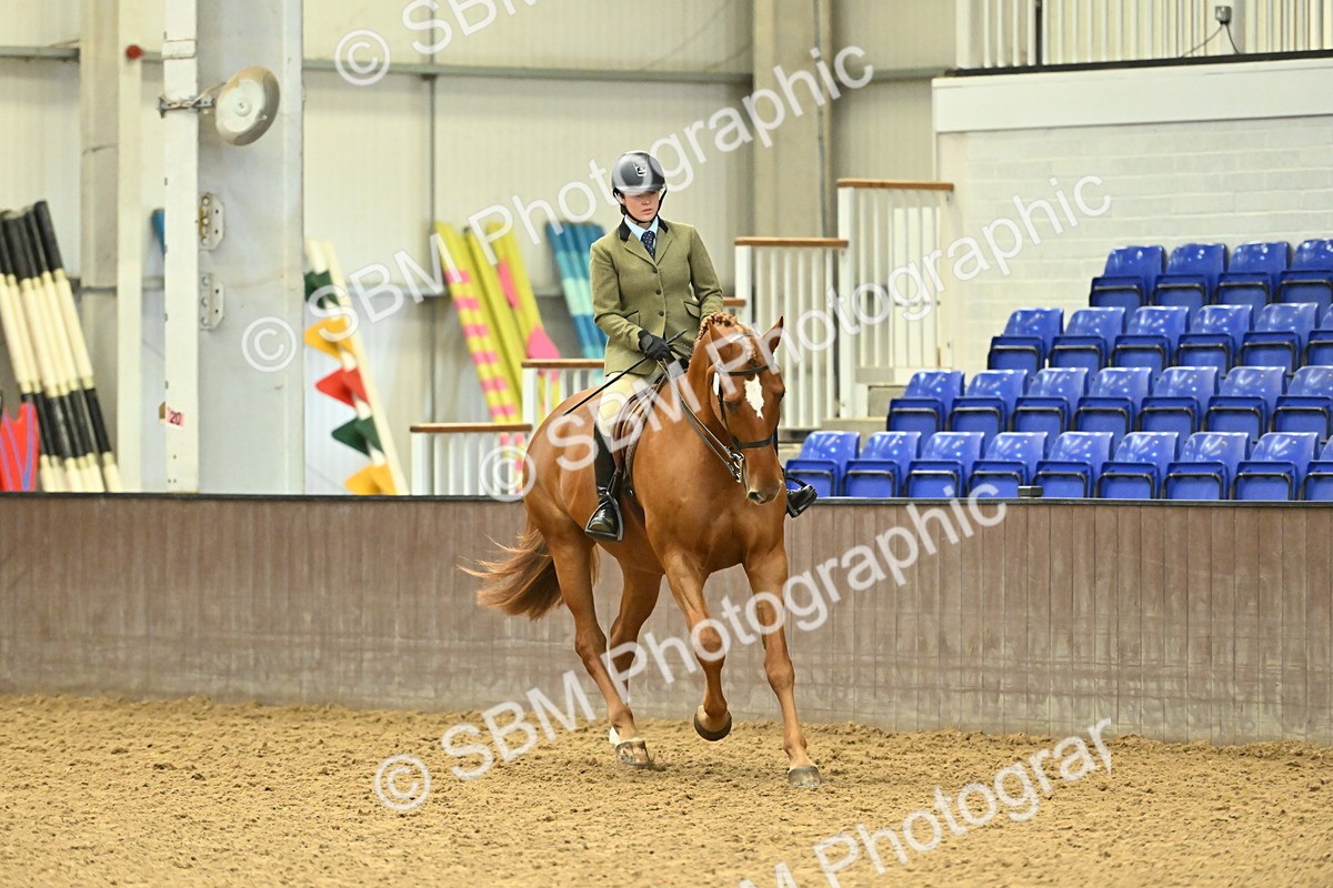 SBM_002086 - Class 23 - BSHA Ridden Show Hunter