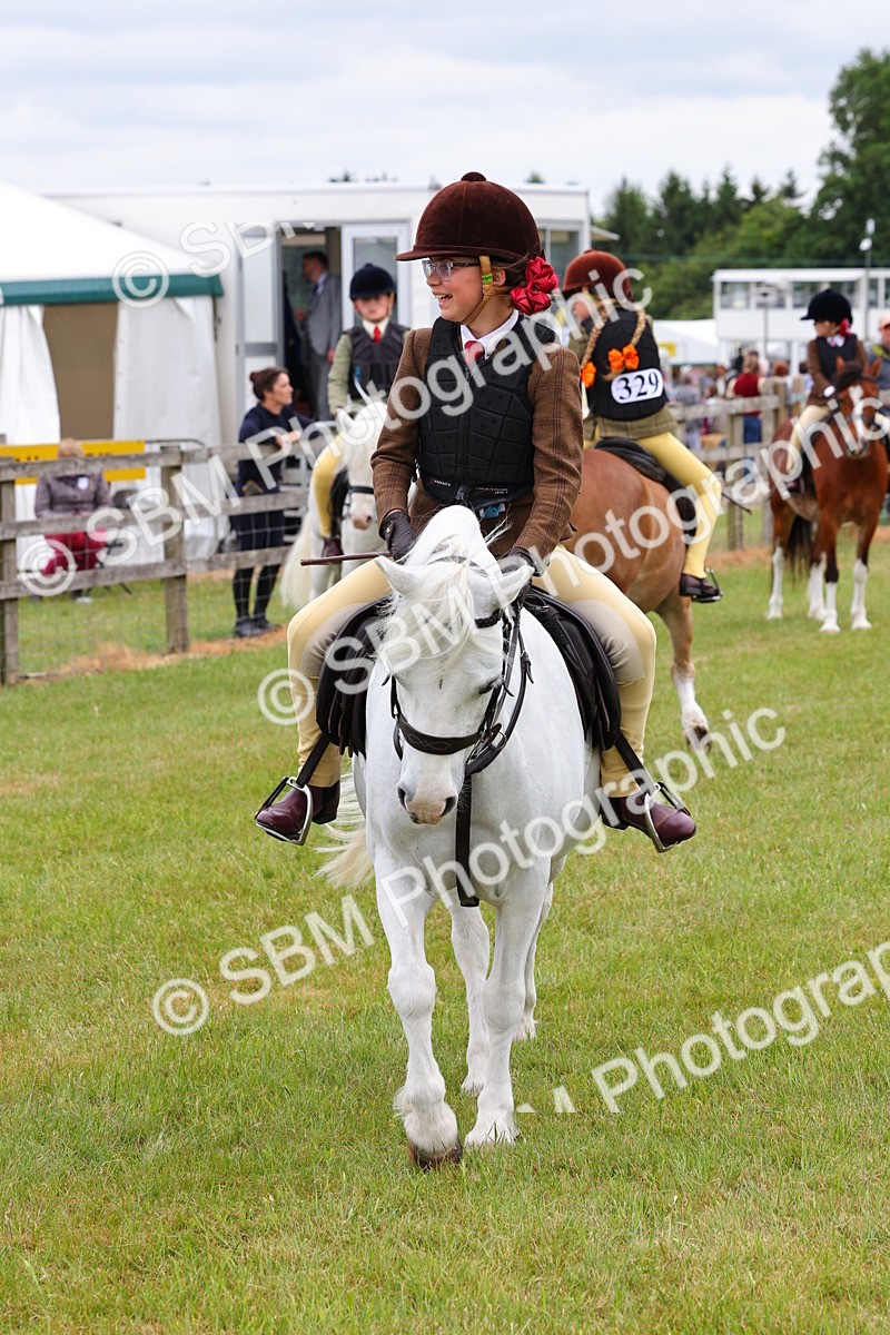 SBM_08821 - Class 42-43 - LIHS BSPS Heritage Working Sports Pony