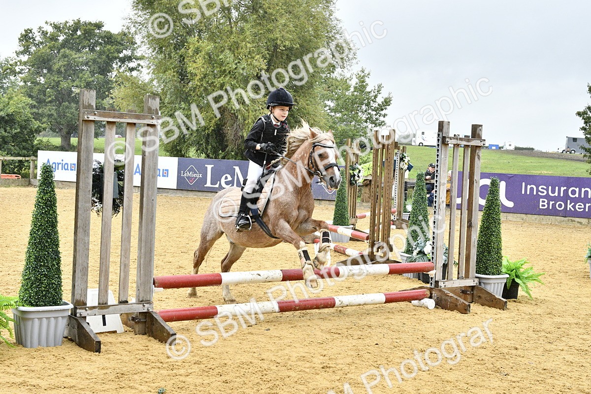 SBM_70841 - J3 - Mini Tour Junior Pony 40cm championship