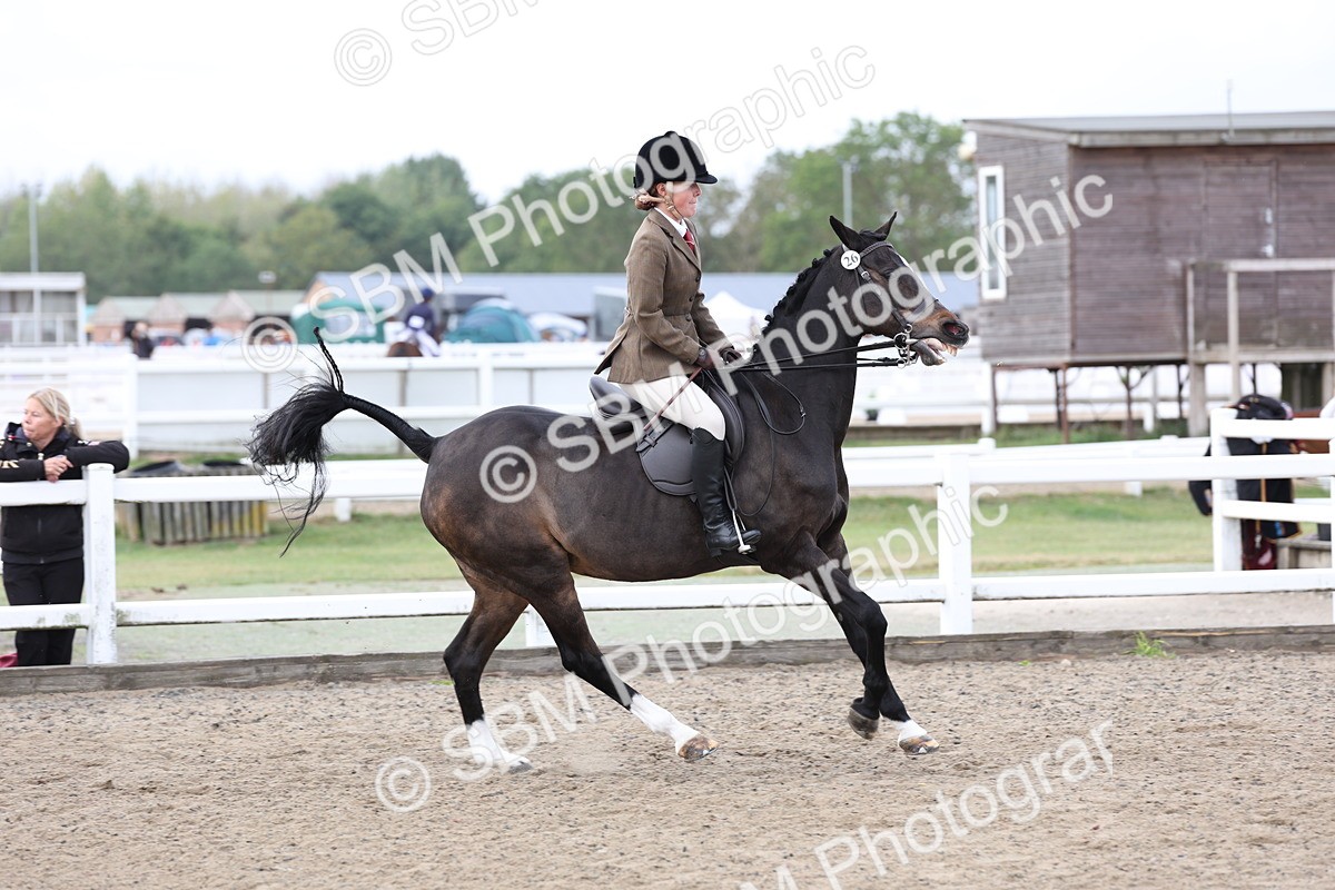SBM_01485 - Class 52 - Ridden Veteran