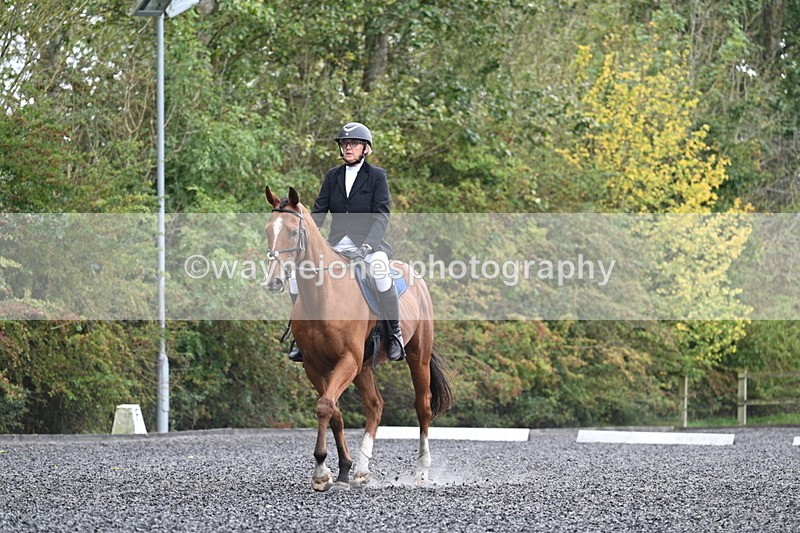 WJ7_3409 - Time 09:54 to 10:54